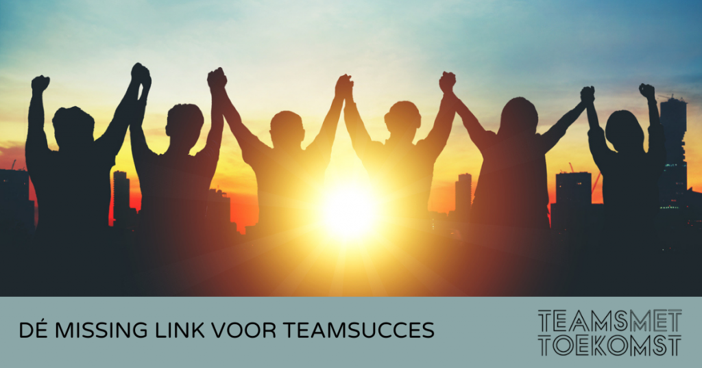 teamgedrag bepaalt teamsucces